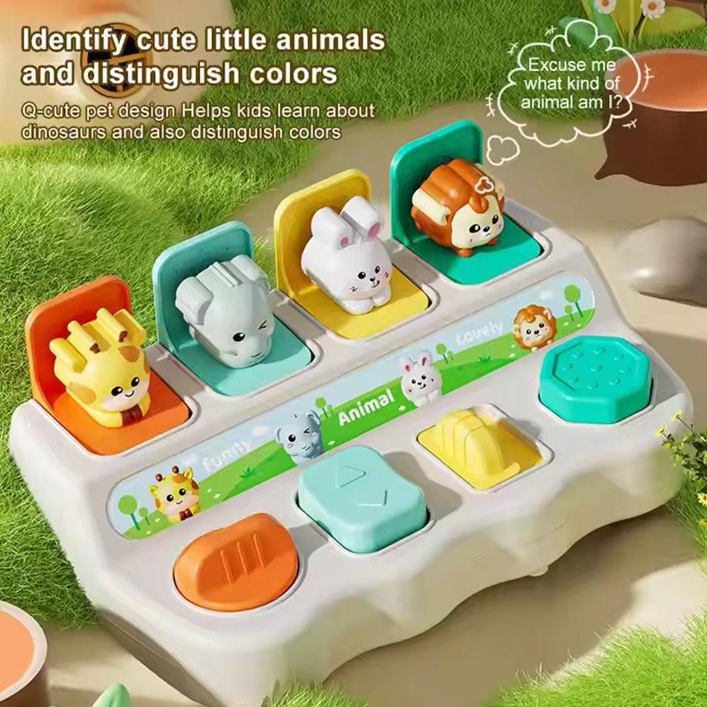 ของเล่นสัตว์แบบป๊อปอัพและกล่อง - Kids Educational Box บทวิจารณ์และราคา