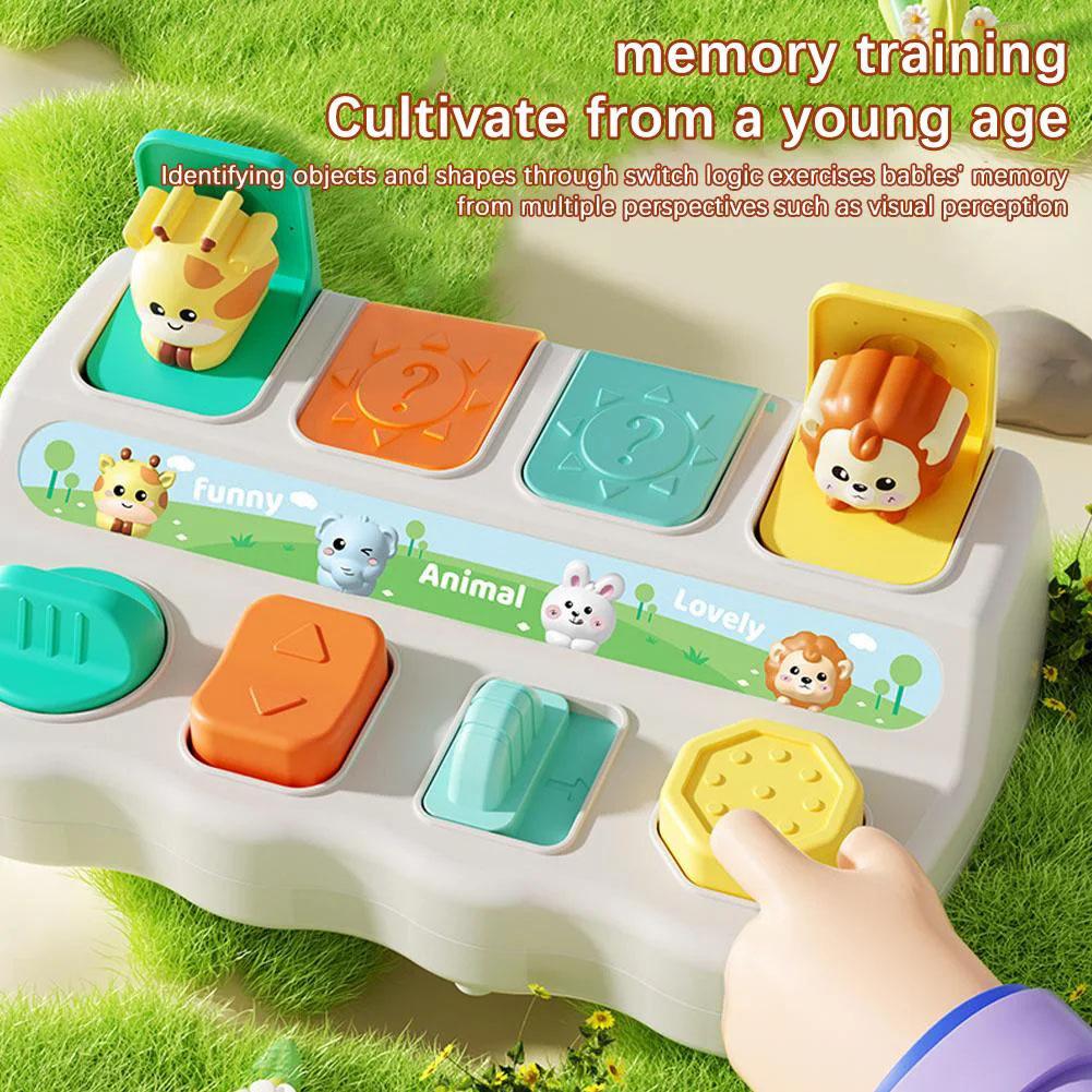 ของเล่นสัตว์แบบป๊อปอัพและกล่อง - Kids Educational Box บทวิจารณ์และราคา
